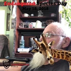 Meet your Posher, Bob